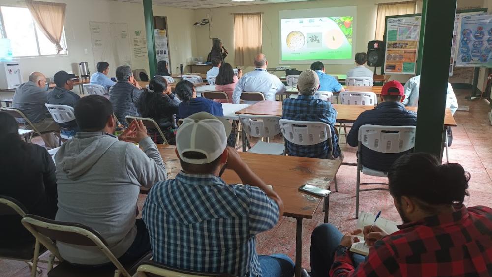 Aspecto de los participantes durante la presentación de la Caracterización Molecular de Neopestalotiopsis en fresa a cargo de la ingeniera Glenda Pérez.