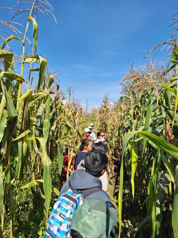 Recorrido de campo en donde se observaron 