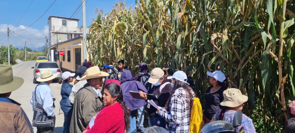 Productores, extensionistas y estudiantes, asisten a día de campo.