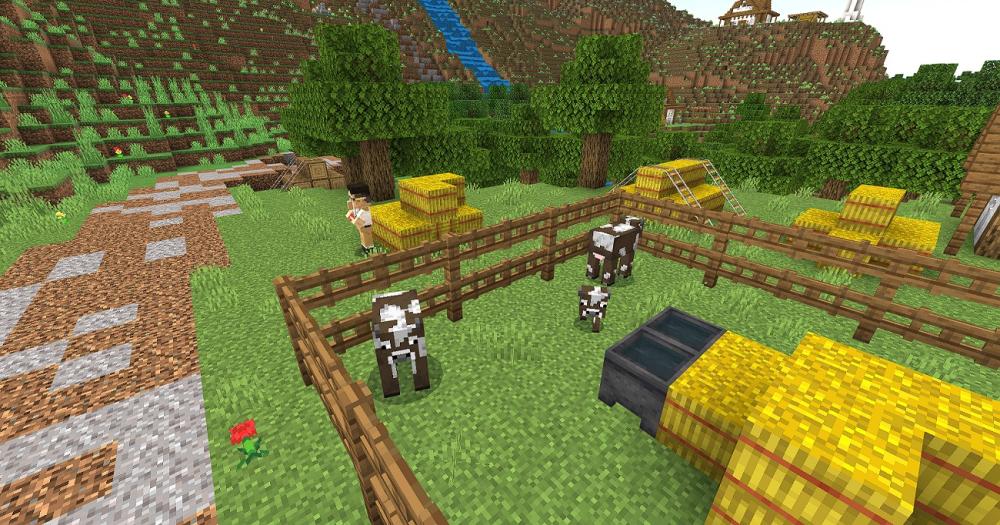 Los estudiantes tuvieron que desarrollar una solución en el mundo de Minecraft Education que responda al reto global actual de cómo aumentar la producción agrícola con un uso más eficiente de los recursos naturales, en un contexto de crecimiento de la población mundial, reducción de espacios para cultivos y cambio climático.