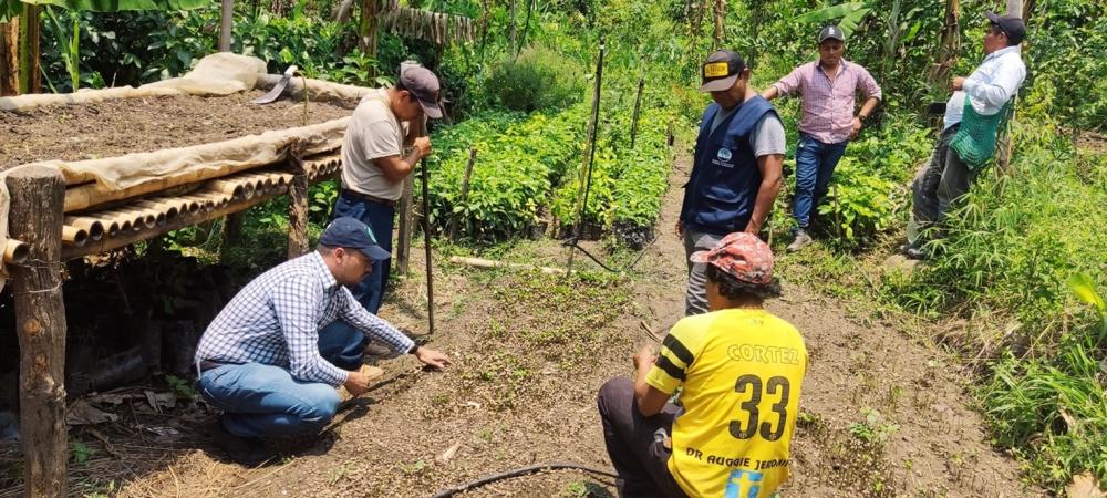 Miembros de diferentes asociaciones aprenden sobre producción sostenible. Agosto 2023