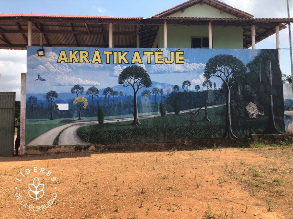  Es el bosque tropical nativo e intacto que todos los días custodia y venera Katia Silene Tonkyre, la primera mujer cacique de la aldea Akratikatejé, situada en el estado amazónico de Pará, en la región norte de Brasil.