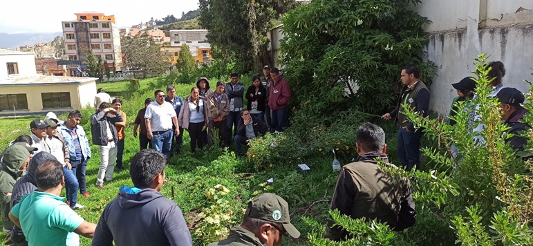 Actividad de campo