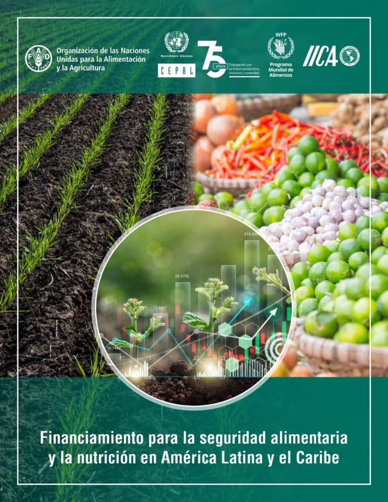 FinanciamientoSAN-ALC-V9VersionFAO_page-0001