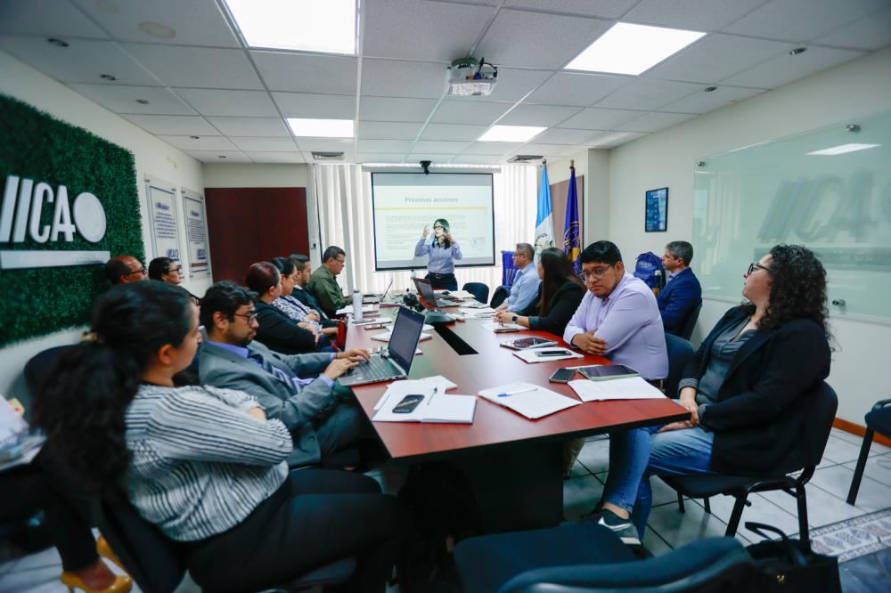 Adriana Campos, Especialista en Comercio del IICA presenta el contenido del Manual para delegados  sobre la participación en el Comité de Agricultura de la OMC.