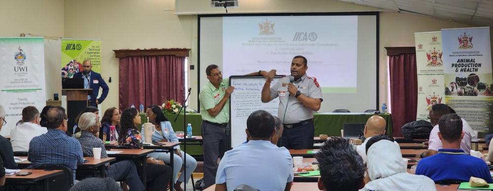 Cross-section of partners and stakeholders at the poultry industry ‘bird flu’ consultation. (Photo: IICA)