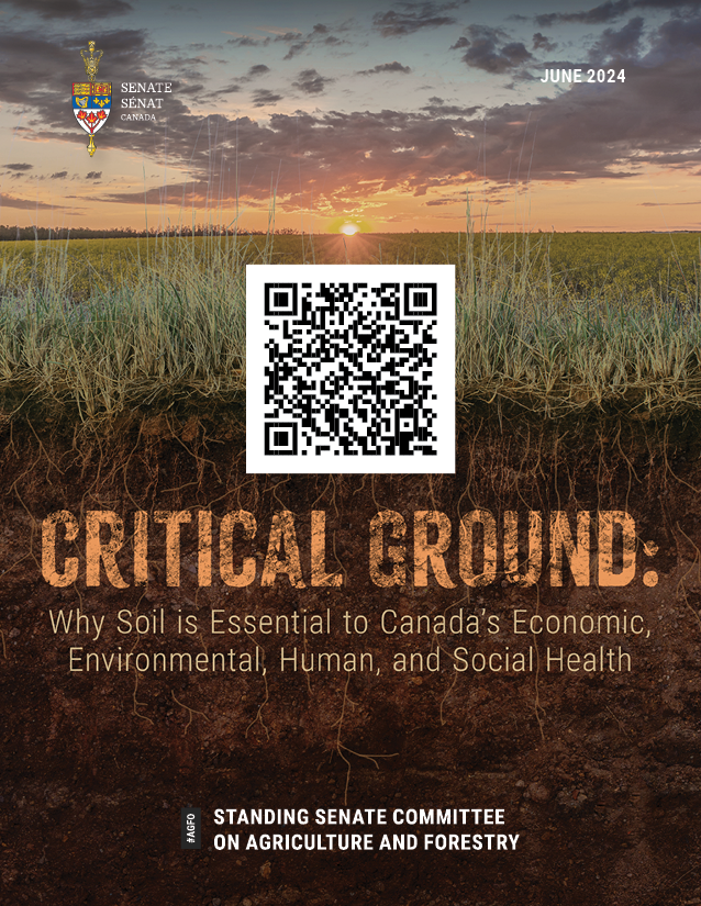 QR Code Study on Soil