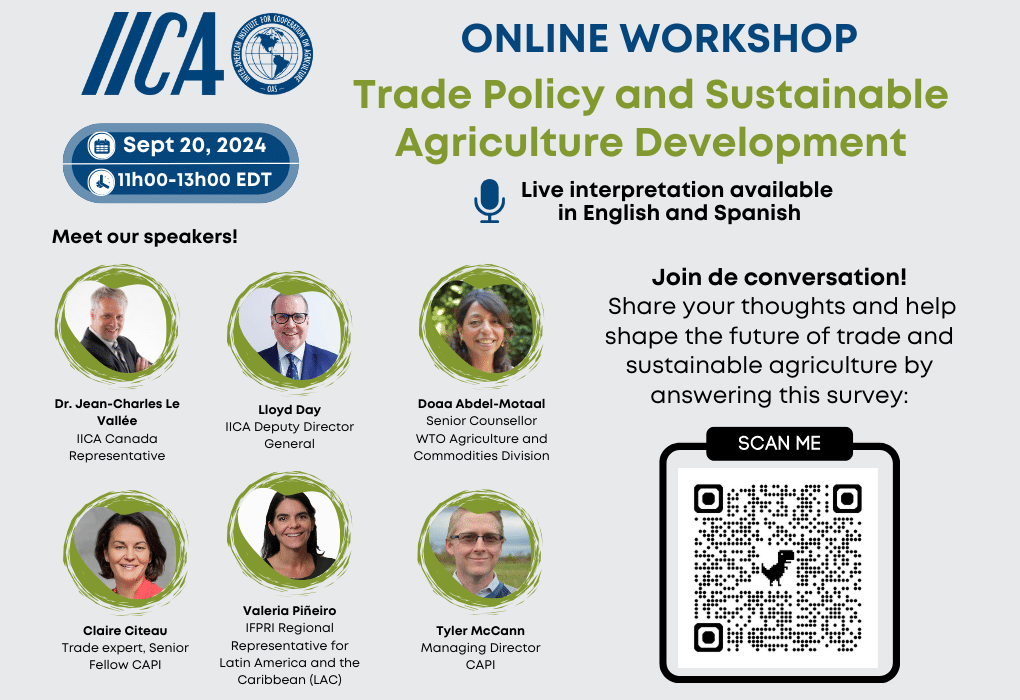 Online workshop Pagina web_1