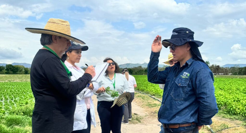 Colombia fortalece su papel como proveedor clave de productos agrícolas frescos a los estados unidos.