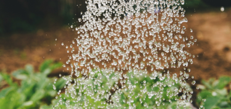 Agua y agricultura