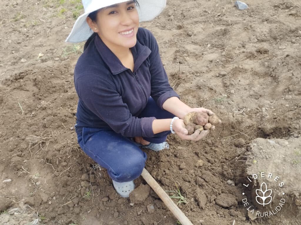 Imagen de una agricultora cosechando papas, símbolo del trabajo rural y la agricultura sostenible. Ideal para contenidos sobre liderazgo comunitario, empoderamiento rural y desarrollo agrícola en América Latina.