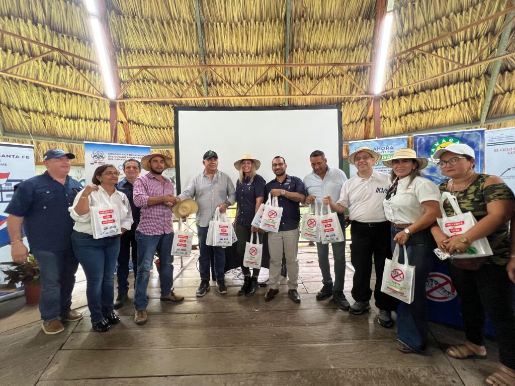 Atividade comunitária em Santa Fé de Darién focada na prevenção da larva da mosca-do-berne. Participantes posam com bolsas promocionais em frente a materiais informativos e uma tela de projeção em um salão com teto de palha. A imagem destaca a participação do cidadão e o apoio institucional em campanhas de saúde animal.