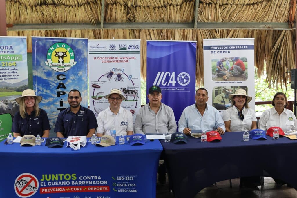 Jornada de conscientização sobre a larva da mosca-do-berne no Panamá, com a participação de representantes institucionais e materiais informativos. A atividade promove a cooperação interinstitucional para a detecção e controle da praga, destacando o uso de ferramentas como WhatsApp para relatórios cidadãos.
