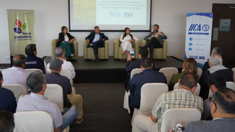 Conservatorio: El IICA impulsa en Ecuador una plataforma para que productores de arroz accedan a esquemas de compensación de carbono.