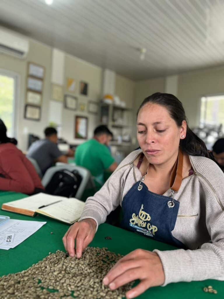 Capacitación en clasificación de café en el marco del comercio justo, donde productores participan en un taller práctico para mejorar la calidad, trazabilidad y valor agregado del grano.